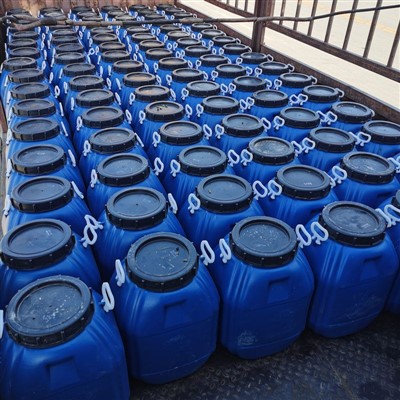 Chất nhũ hóa cation